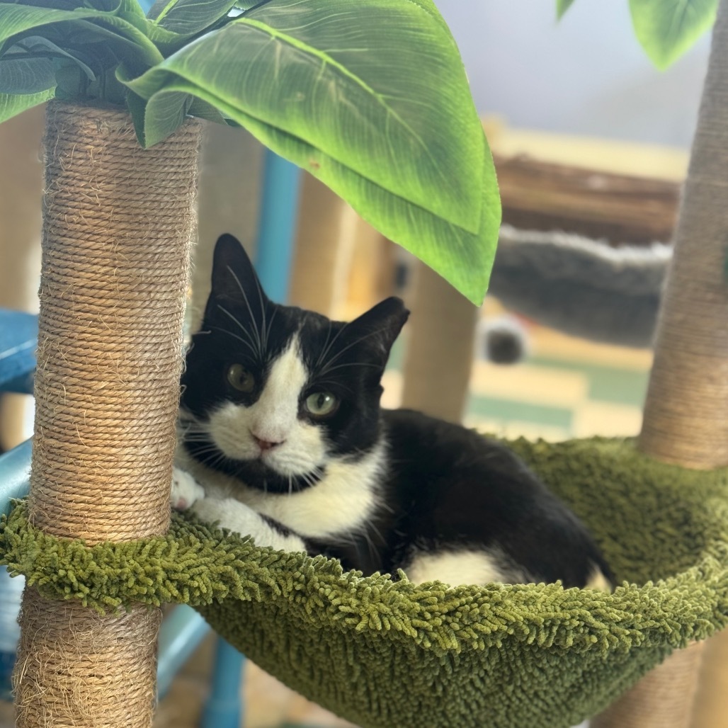 Sebastian