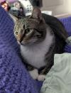 Carl photo 1