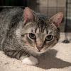 Carl photo 2