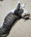 Carl photo 4