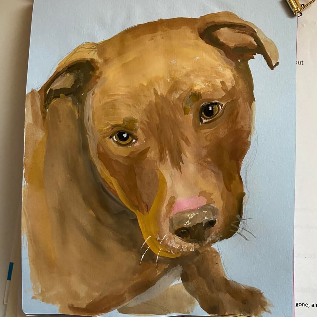 Chopper, an adoptable Pit Bull Terrier in Park Falls, WI, 54552 | Photo Image 3