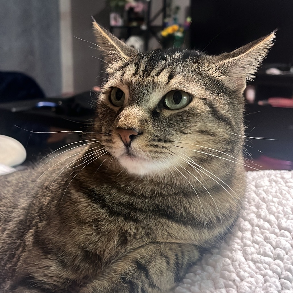 Tigger