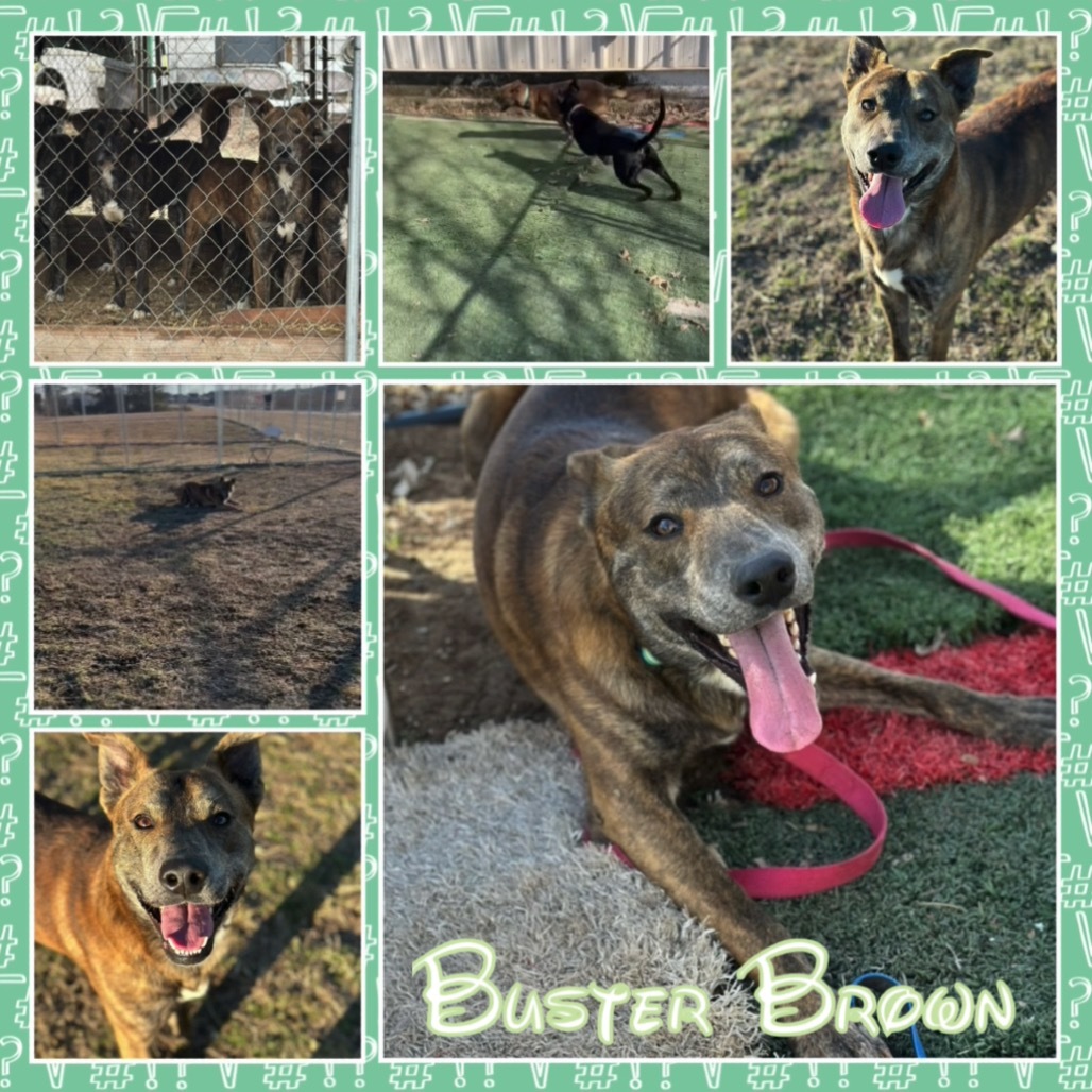Buster Brown