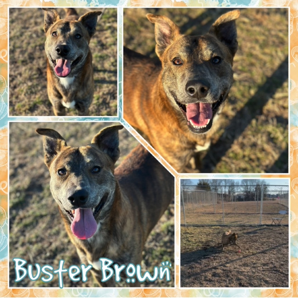 Buster Brown