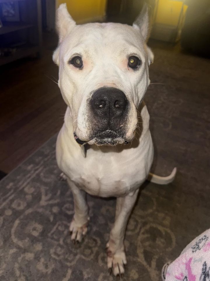 Ellie May 1