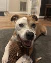 Mr. Bojangles photo 3