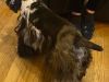 Millie photo 3