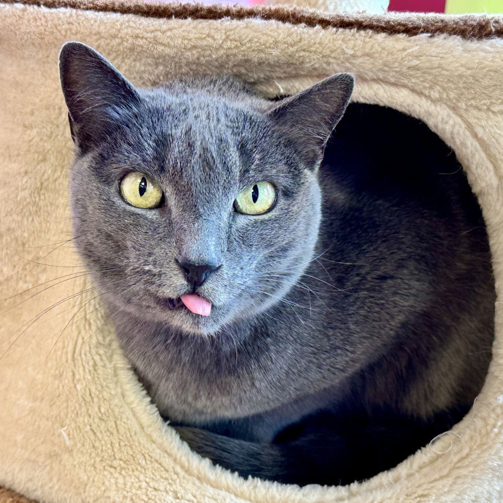Ella