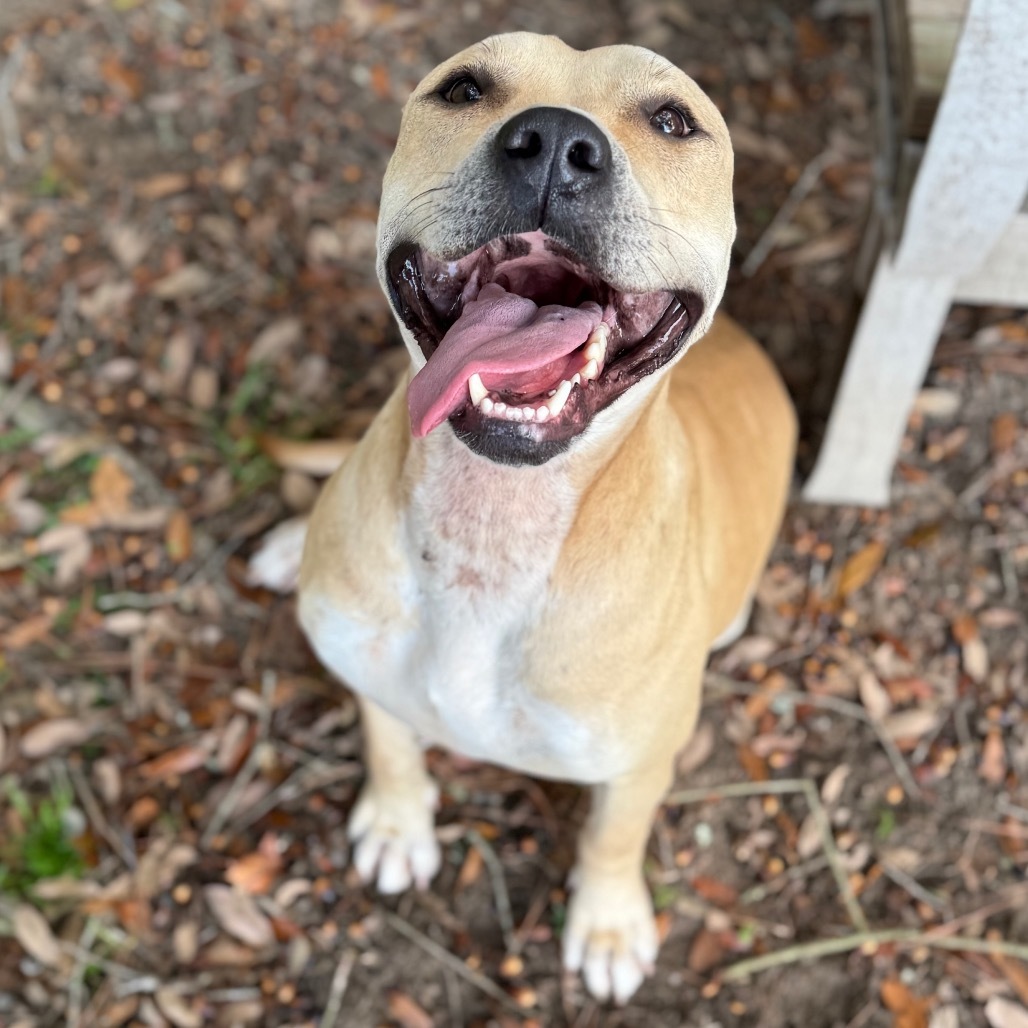 Ellie Mae
