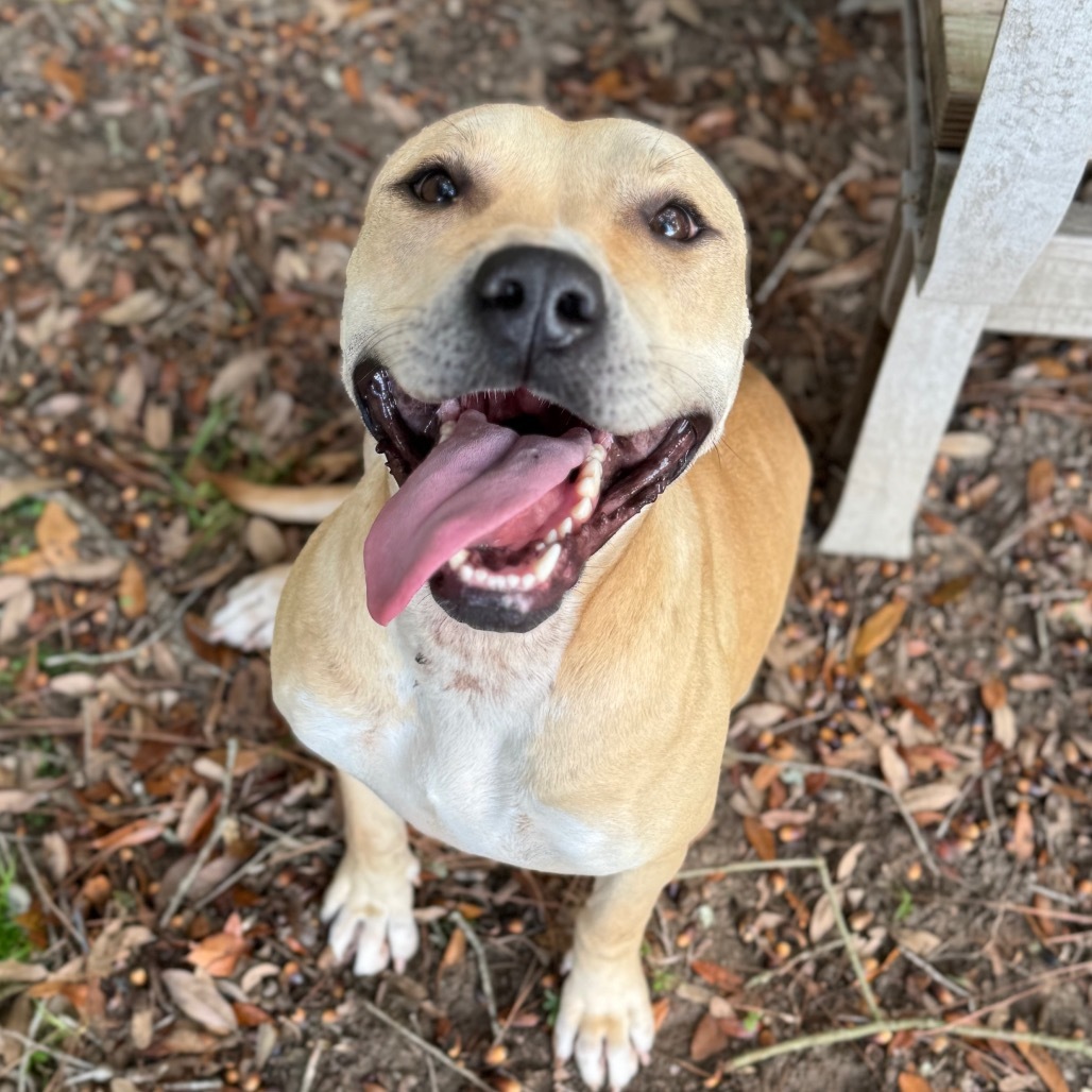 Ellie Mae