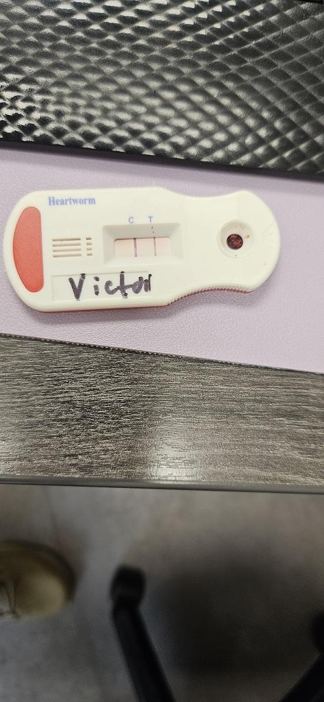Victor