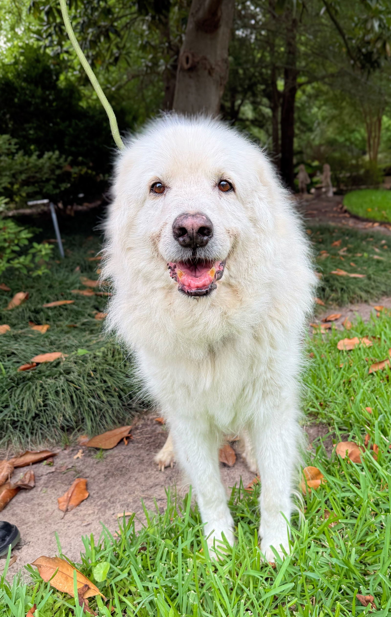 Sam