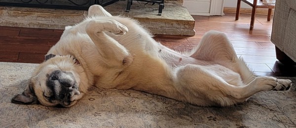 Gretta
