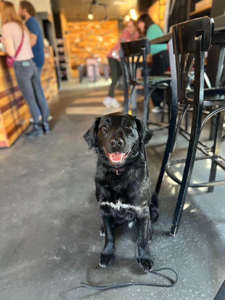 Jet