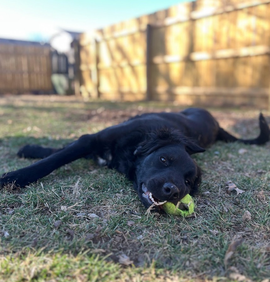 Jet