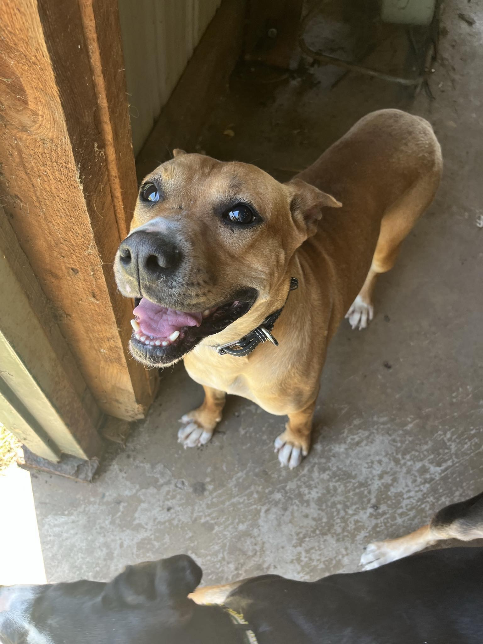 Jax