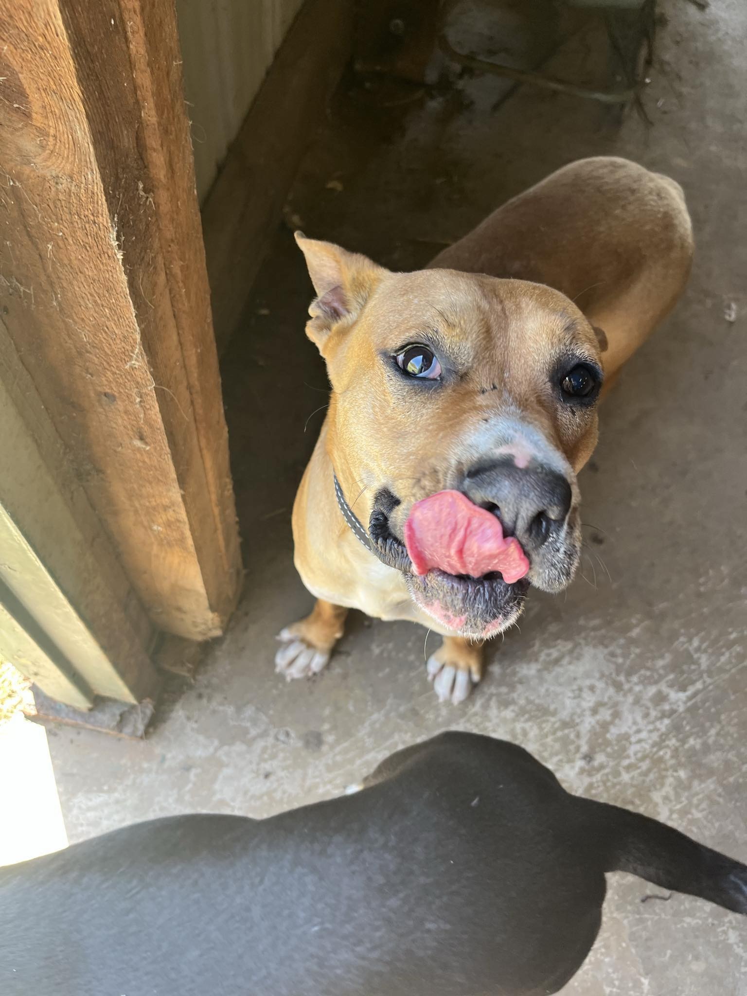 Jax
