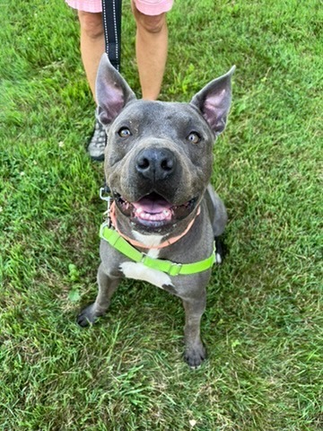 Nitro