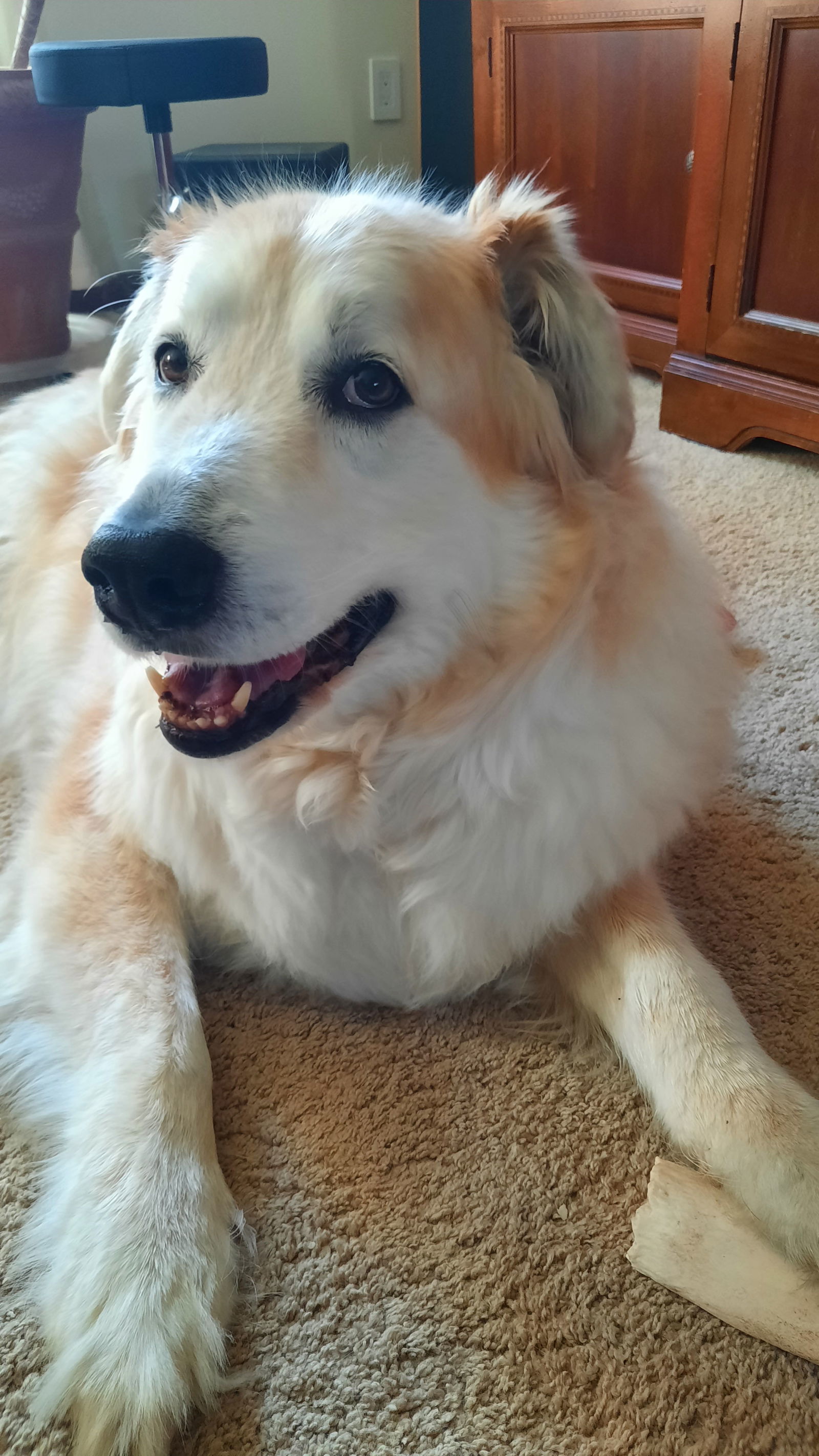 Zoe