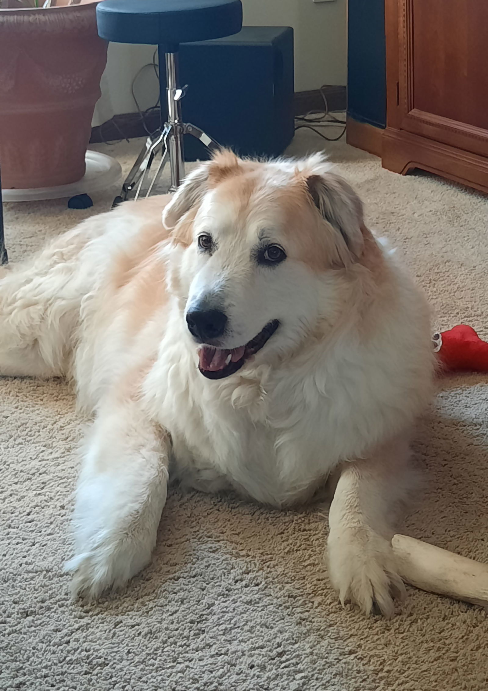 Zoe