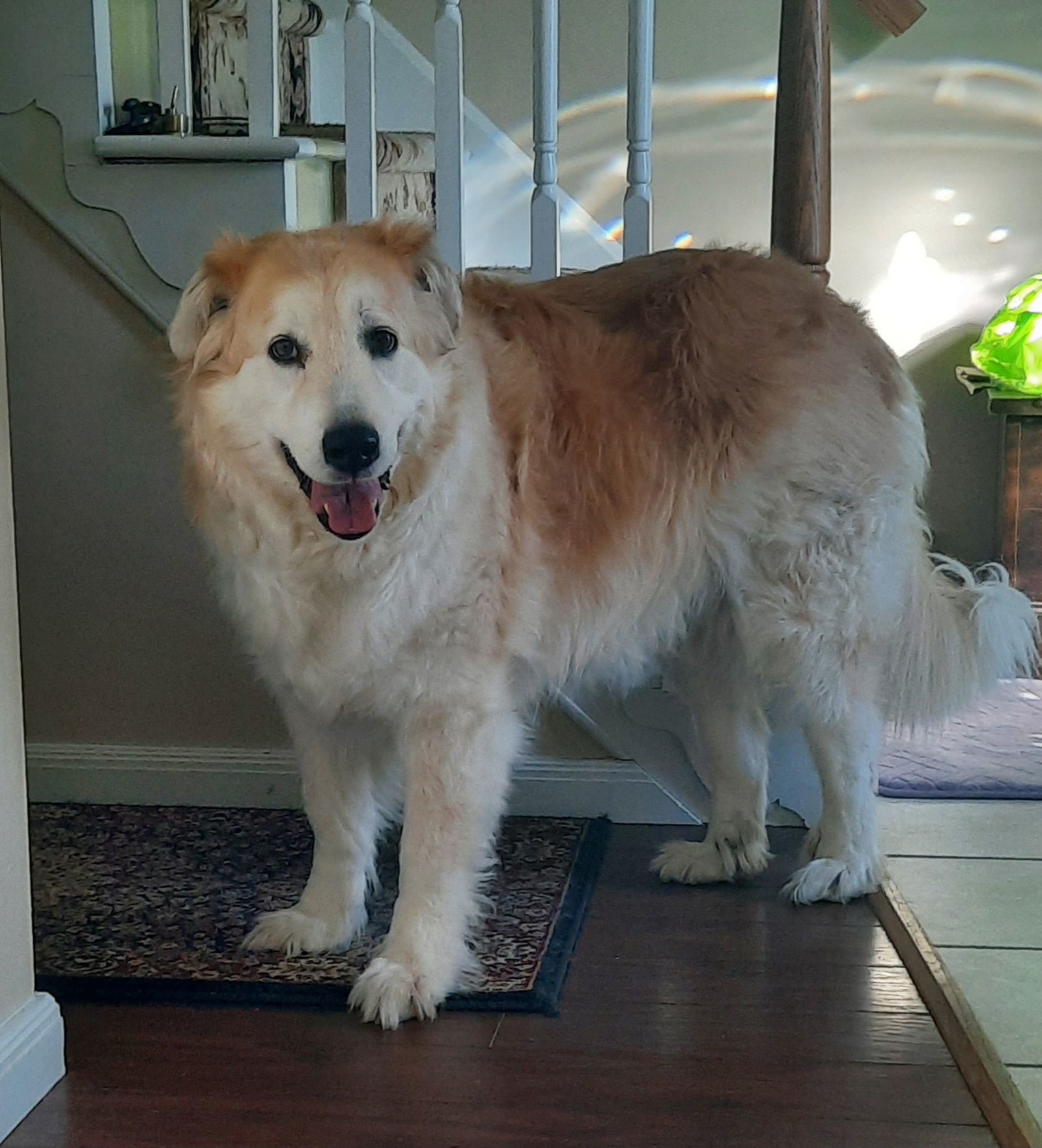 Zoe