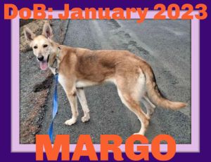 MARGO - $300