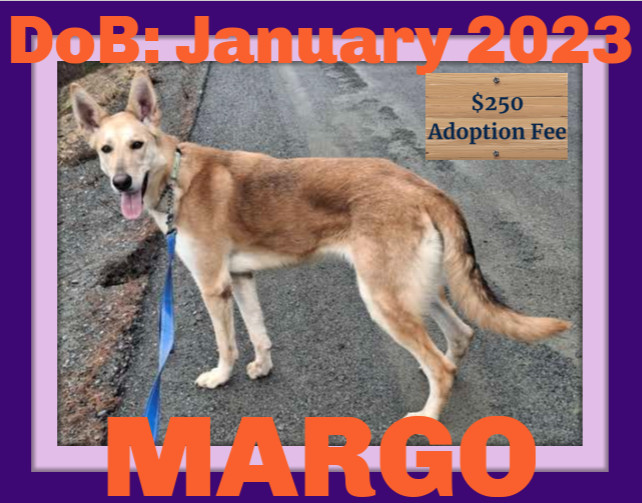 MARGO - $250 1