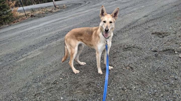 MARGO - $300 2