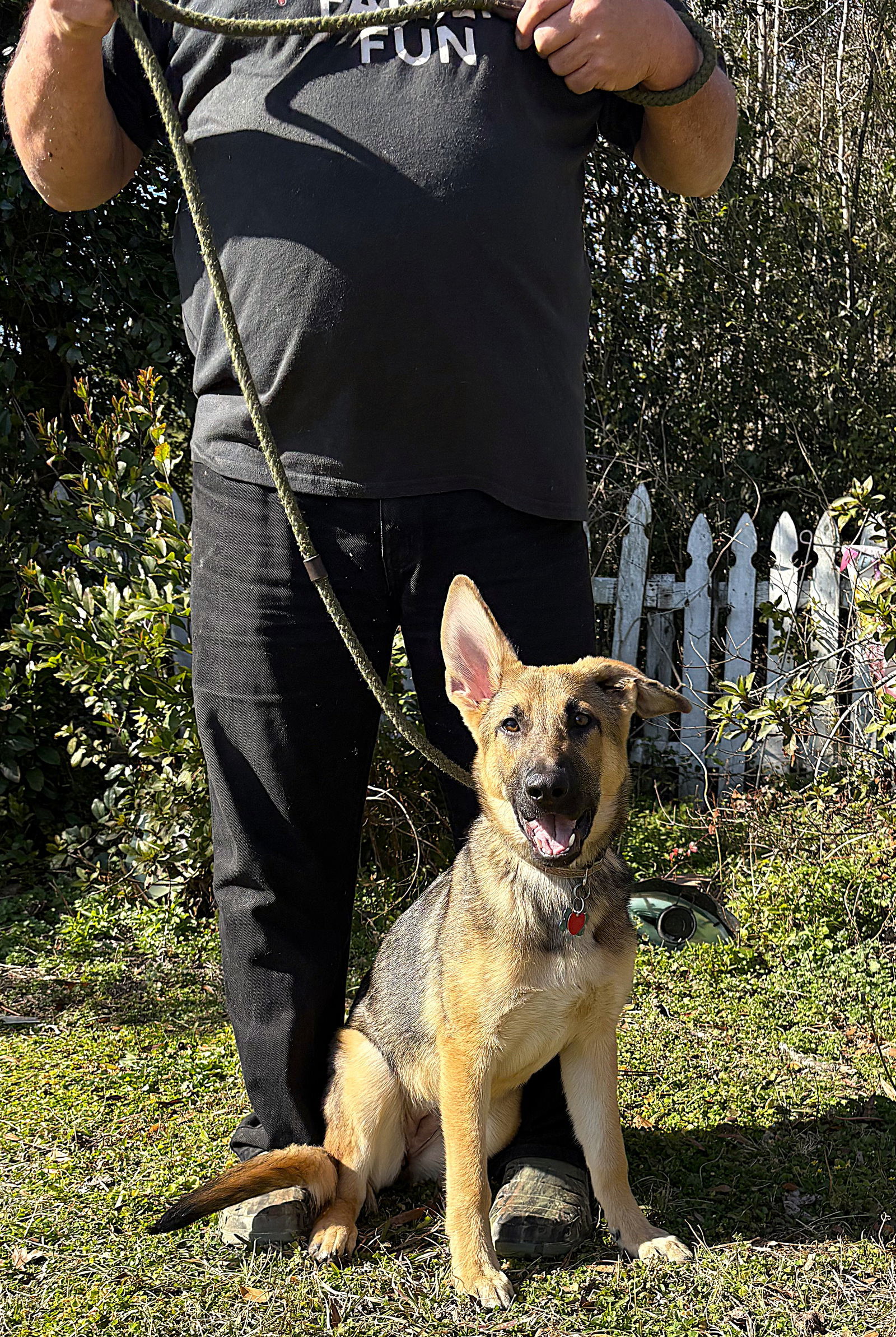V-5months/Spay Contract Required/ $425