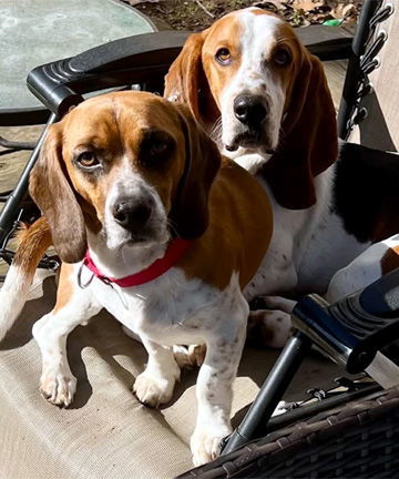 ASHER & CLARENCE