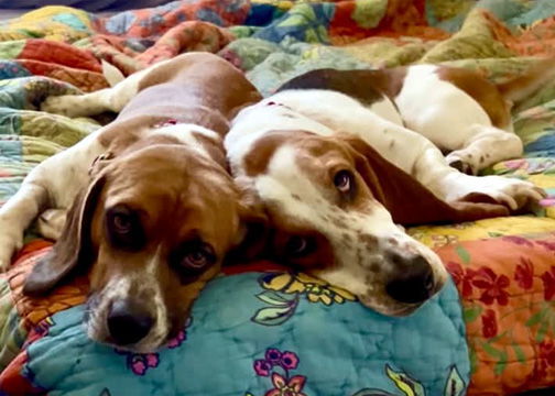 ASHER & CLARENCE