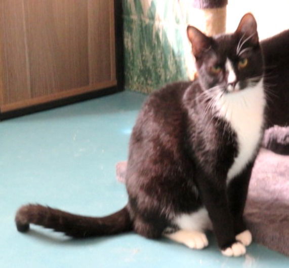 Murphy 2