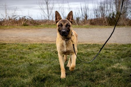Kilo photo