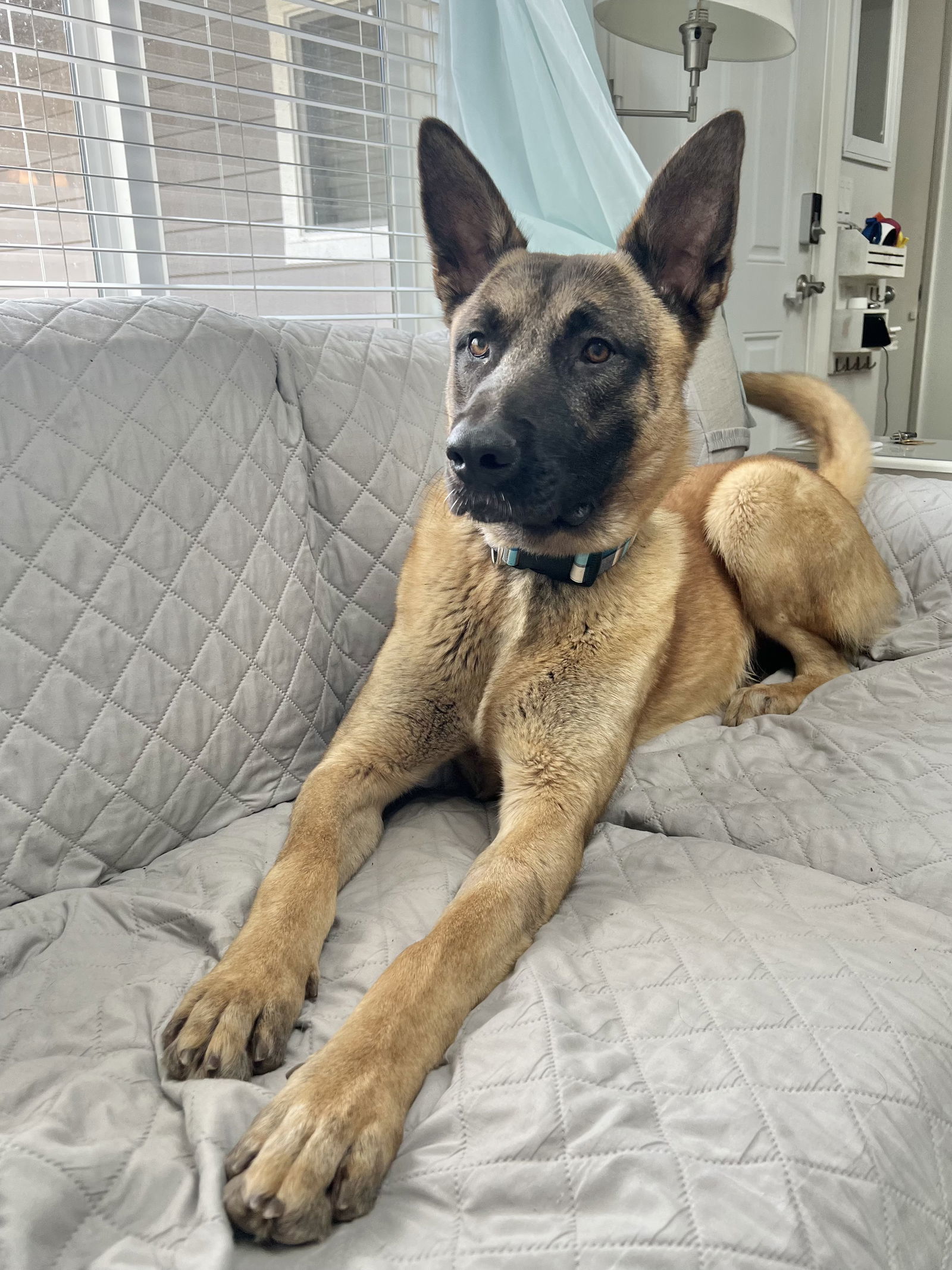 Kilo