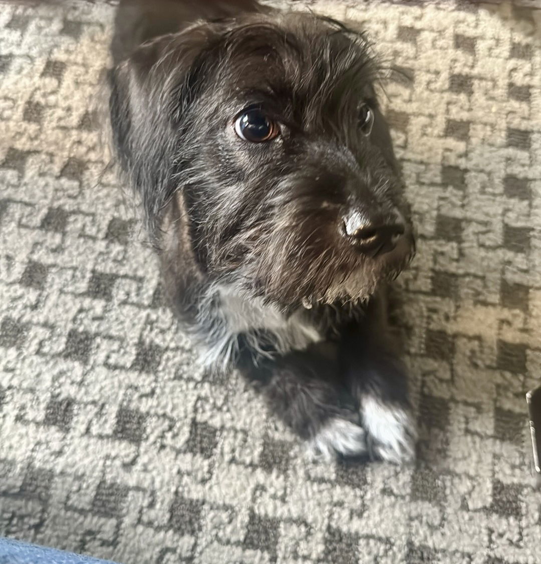 Mac