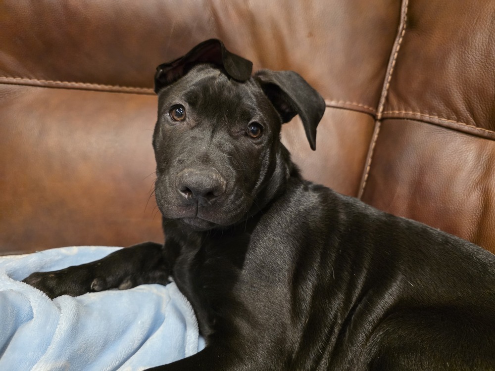Bruce