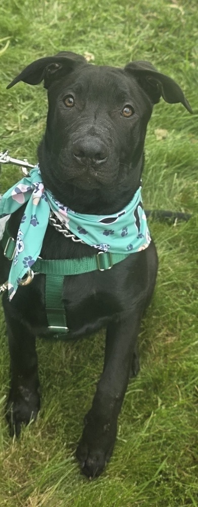 Bruce