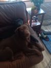 Bruce photo 4