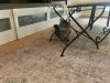 Hazel bonded with Bailey photo 2