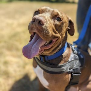 Three Cheers for Rufio Ru-fi-oh Ru-fi-oh Ru-fi-oh Our boy Rufio is finally ready to find his for