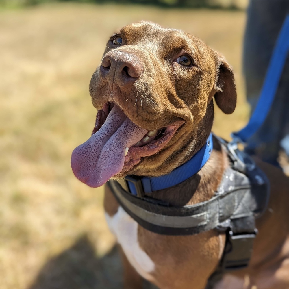 Rufio - AVAILABLE