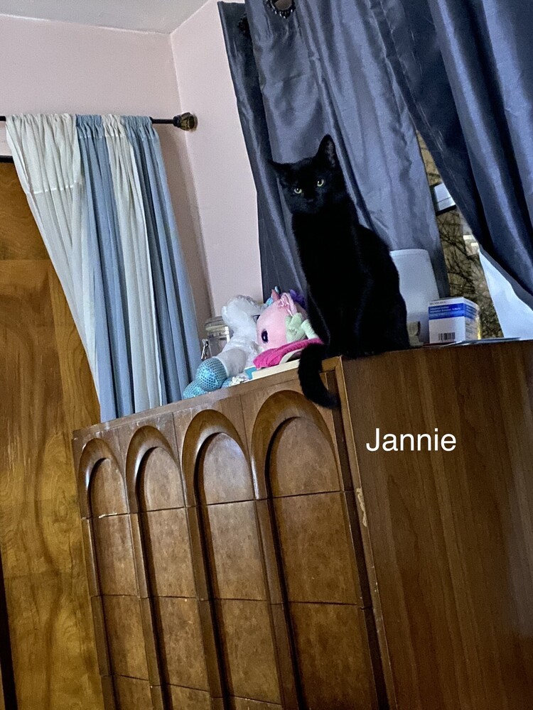 Jannie