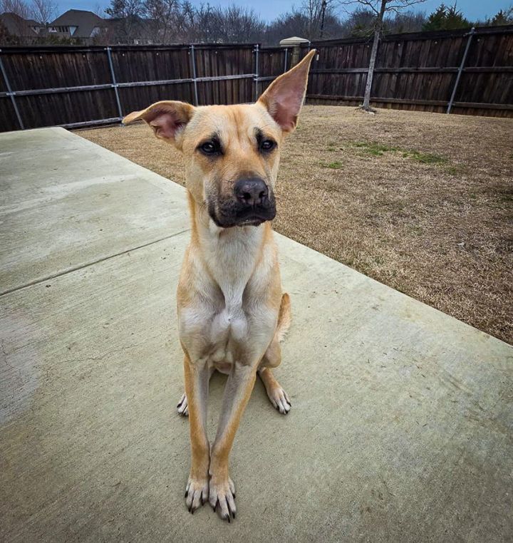 Marley IV (New Digs) 2