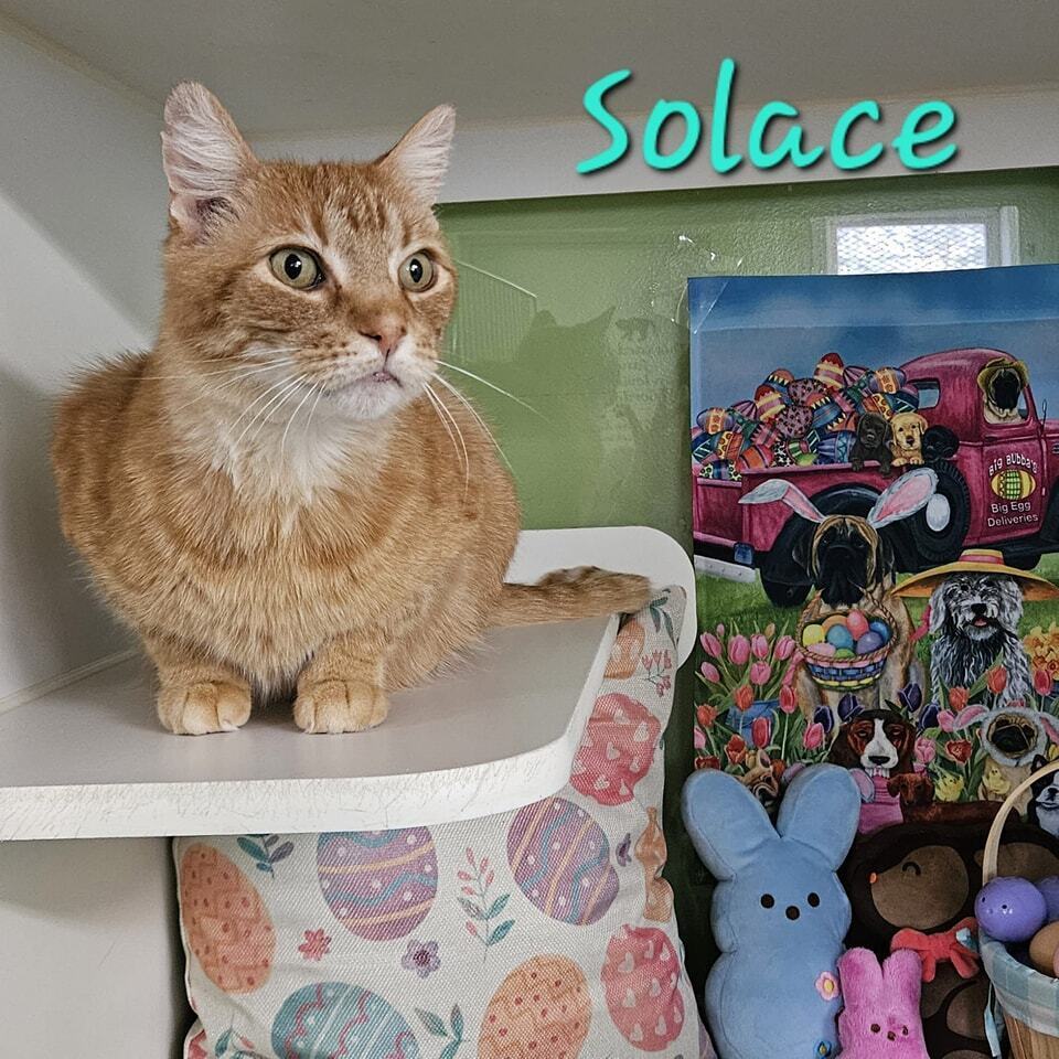 Solace