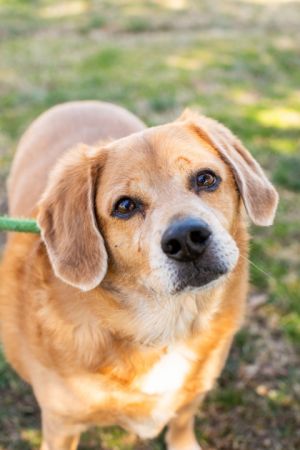 Cute personified with this guy Our photographer said Love a dog where the name matches the body a