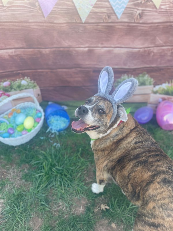Max