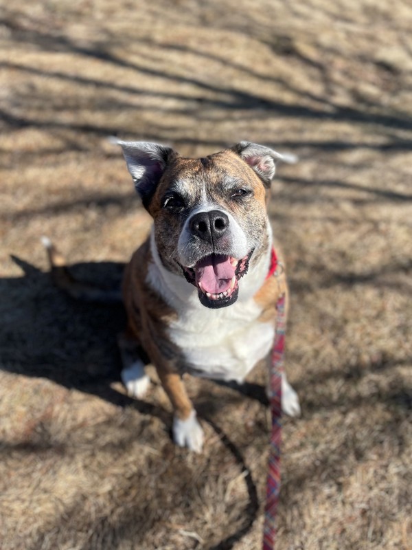 Max
