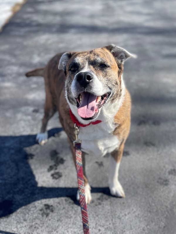 Max