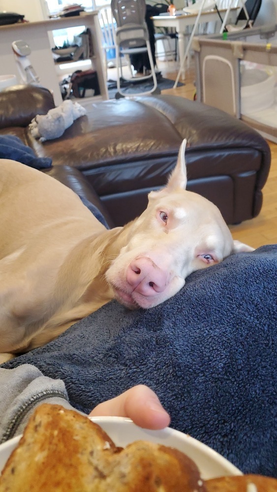 Lou (KELOWNA, BC)