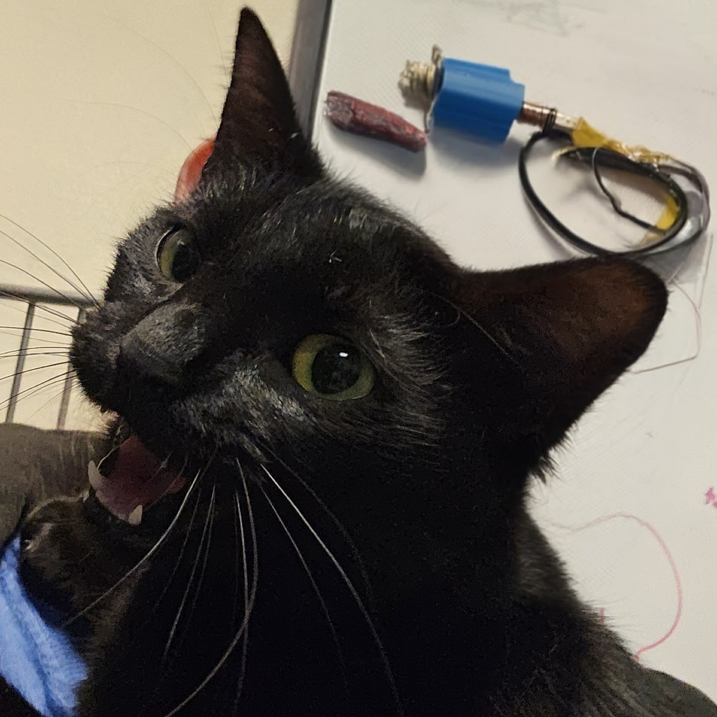 Mavis